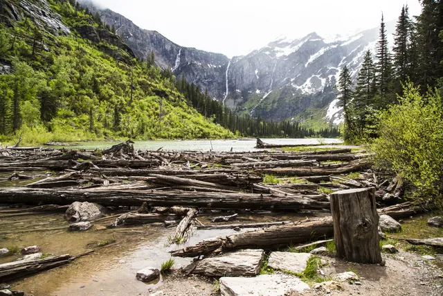 Logs, with snowy mountains and a lake in the background.
