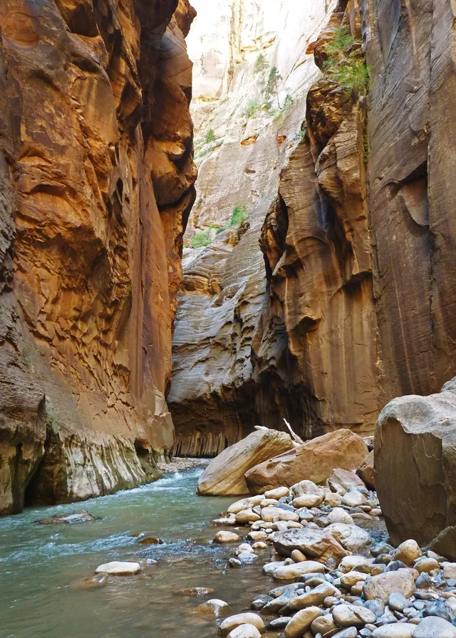 Red sandstone canyon walls frame the blue water of the Virgin River below.